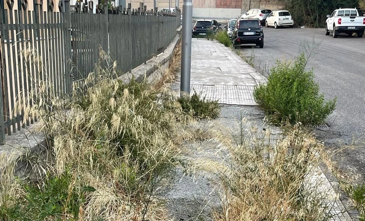 Degrado a Catanzaro, le segnalazioni dei residenti: “Vie e quartieri abbandonati”