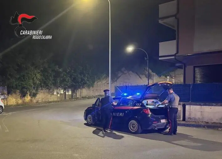 Struttura abusiva, fuochi d'artificio illegali e armi: 4 denunce nel Reggino images Struttura abusiva, fuochi d'artificio illegali e armi: 4 denunce nel Reggino