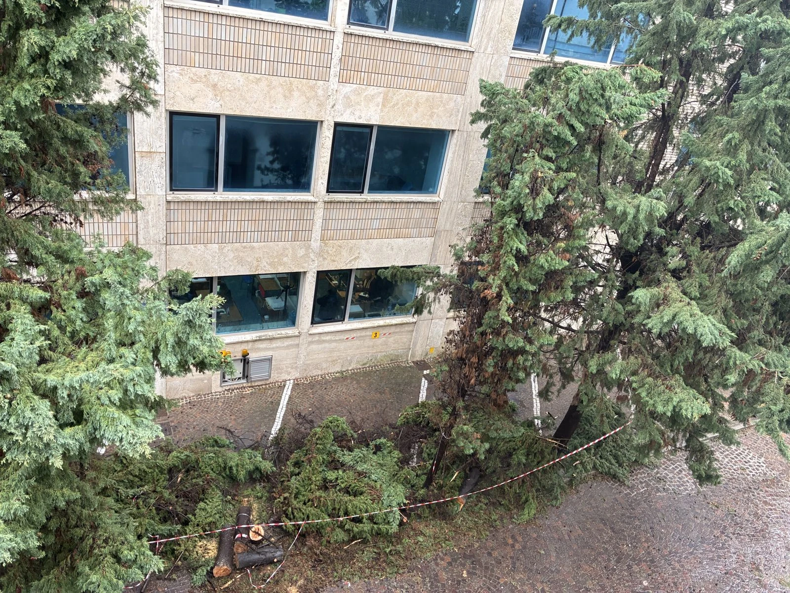 Catanzaro, alberi abbattuti dal forte vento nel centro della città 