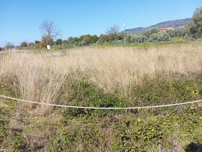 images Lamezia, la denuncia di Gigliotti: "Gli scavi archeologici di Terina sono una ferita difficile da guarire"