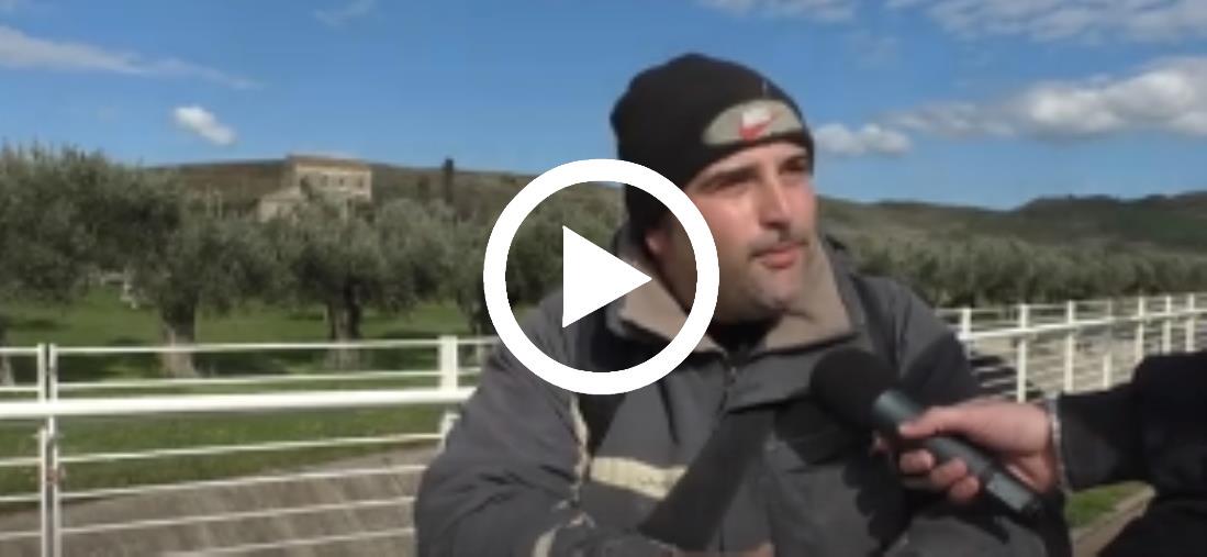 images Protesta dei trattori, la disperazione di Danilo da poco papà: "Non possiamo portare un pezzo di pane a casa" &nbsp; 