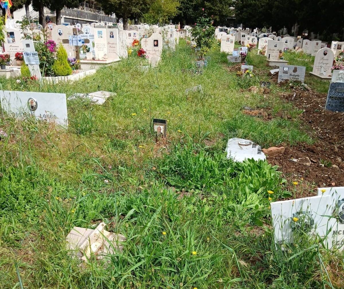 images Catanzaro, erbacce e abbandono al cimitero di via Paglia: nuove segnalazioni
