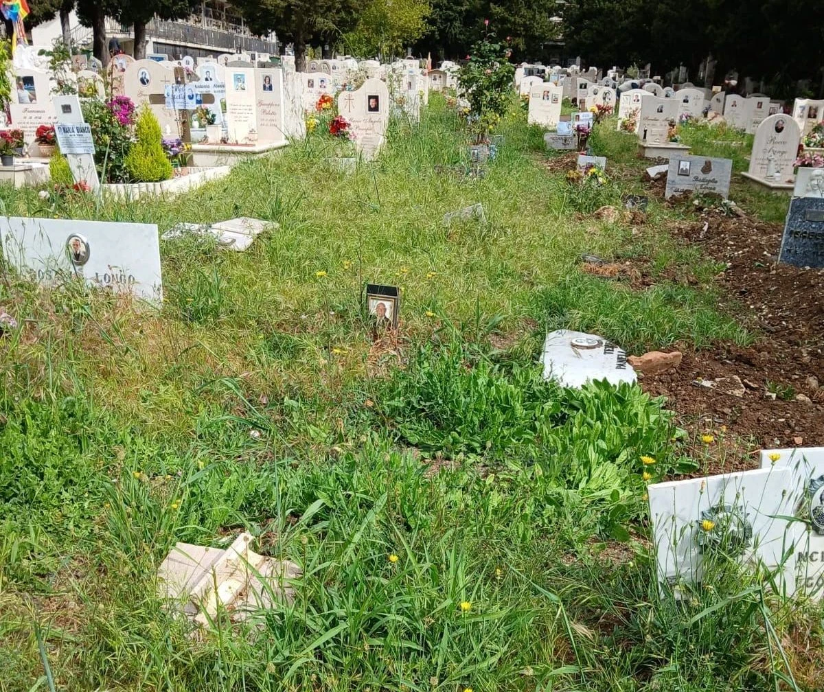 Catanzaro, erbacce e abbandono al cimitero di via Paglia: nuove segnalazioni