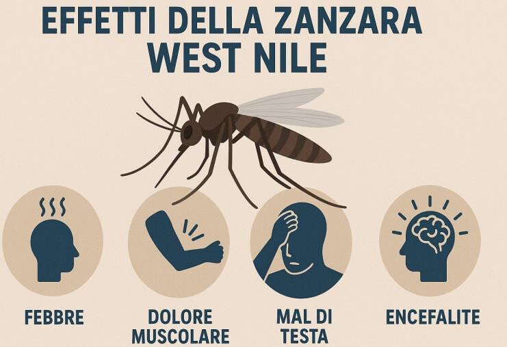 images Lotta al virus "West Nile" a Catanzaro, disinfestazione notturna nella Zona Ovest: le vie interessate e le raccomandazioni