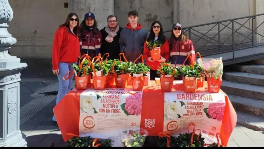 images Catanzaro, AISM e ANPS insieme per la raccolta fondi per la ricerca sulla sclerosi multipla