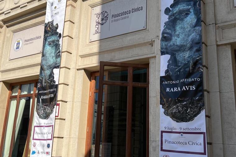 Reggio, successo per la mostra "Rara Avis" di Antonio Affidato: prorogata la chiusura images Reggio, successo per la mostra "Rara Avis" di Antonio Affidato: prorogata la chiusura