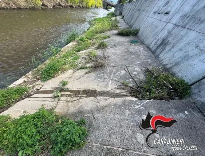 images Gioia Tauro, controlli per la salute pubblica: sei denunce 