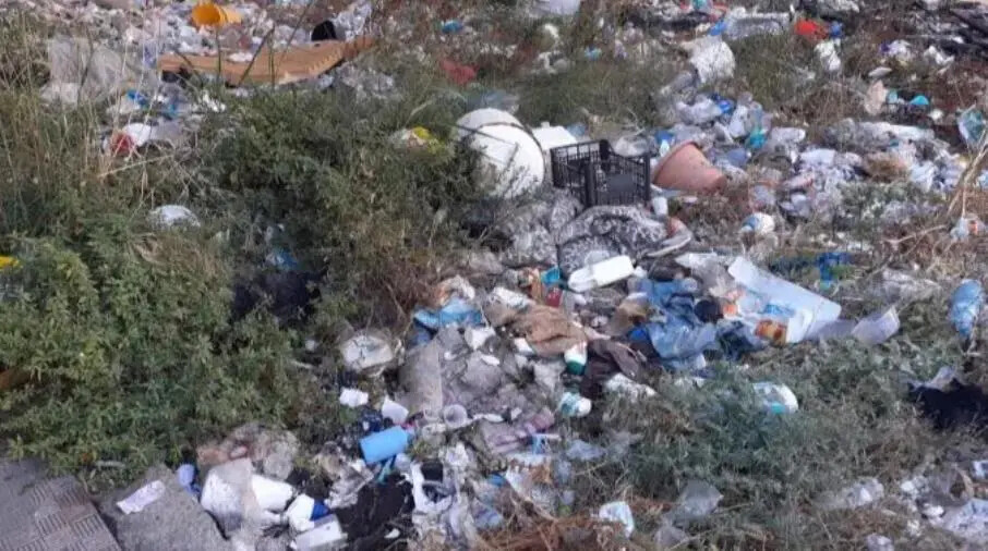 images Degrado zona Sud Catanzaro, Costanzo: "Accompagnerò la consigliera Palaia"