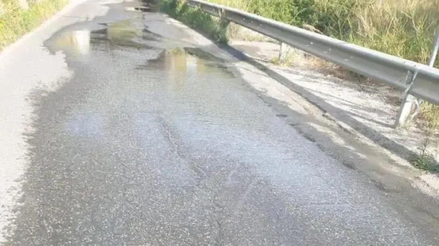 images In tilt il sistema fognario di via Tagliamento, Alleanza per Catanzaro: "Ennesima bugia di Fiorita che promette di sistemarlo ma non lo fa"