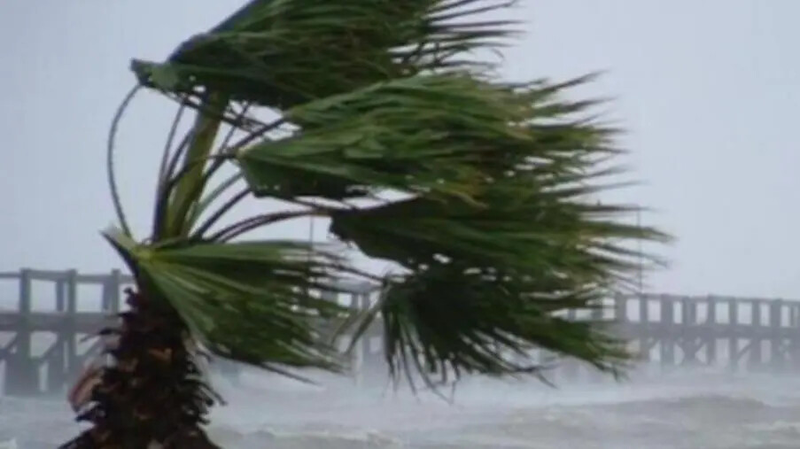 Catanzaro, domani rischio venti forti e burrasche: il Comune invita alla prudenza images Catanzaro, domani rischio venti forti e burrasche: il Comune invita alla prudenza