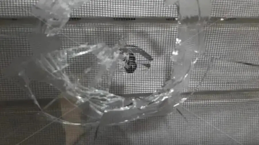 images Catanzaro, tragedia sfiorata a Capodanno: proiettili penetrano in due abitazioni a viale Isonzo