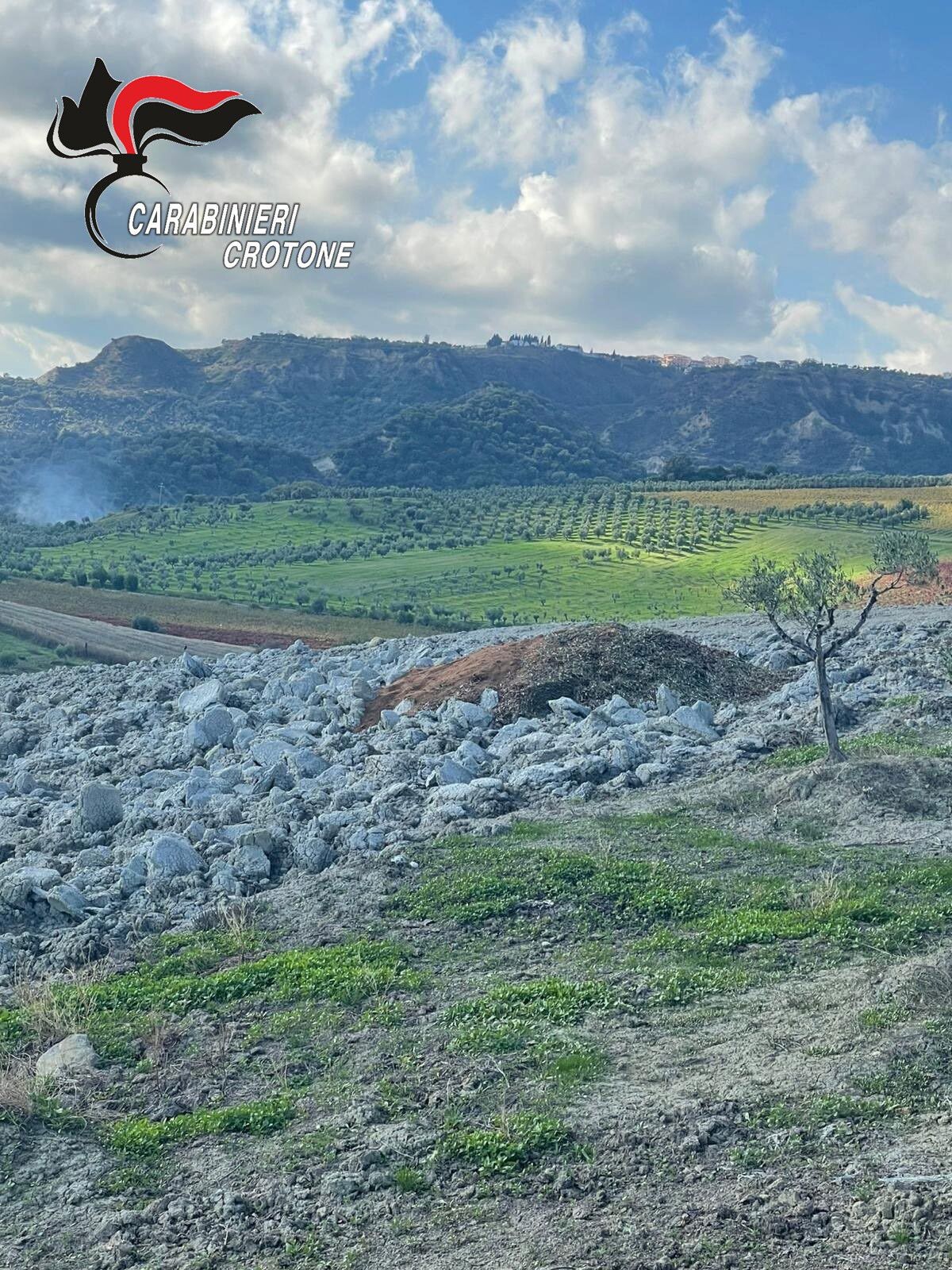 Controlli nei frantoi oleari di Strongoli: tre imprenditori denunciati per violazioni ambientali images Controlli nei frantoi oleari di Strongoli: tre imprenditori denunciati per violazioni ambientali