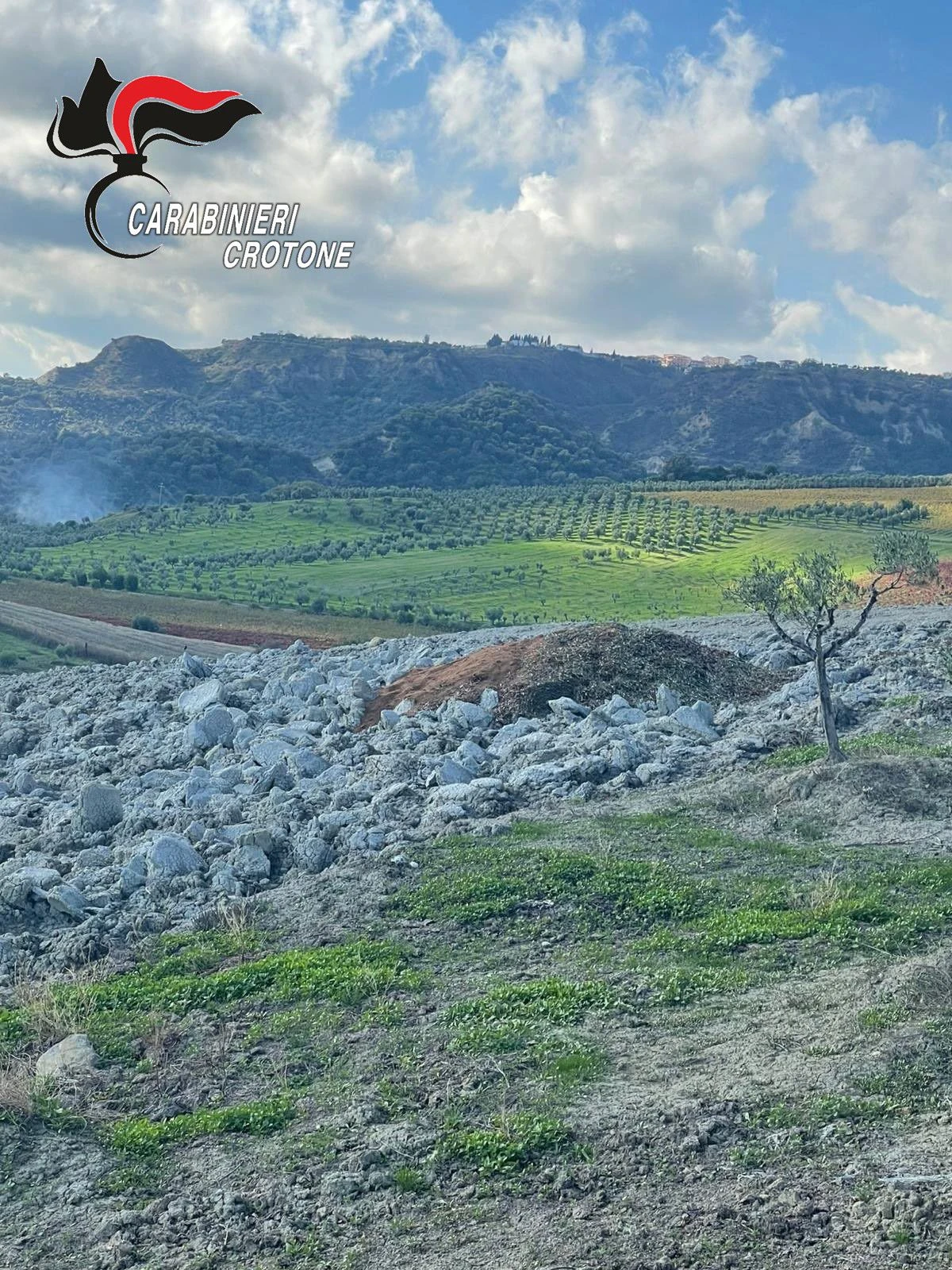 Controlli nei frantoi oleari di Strongoli: tre imprenditori denunciati per violazioni ambientali