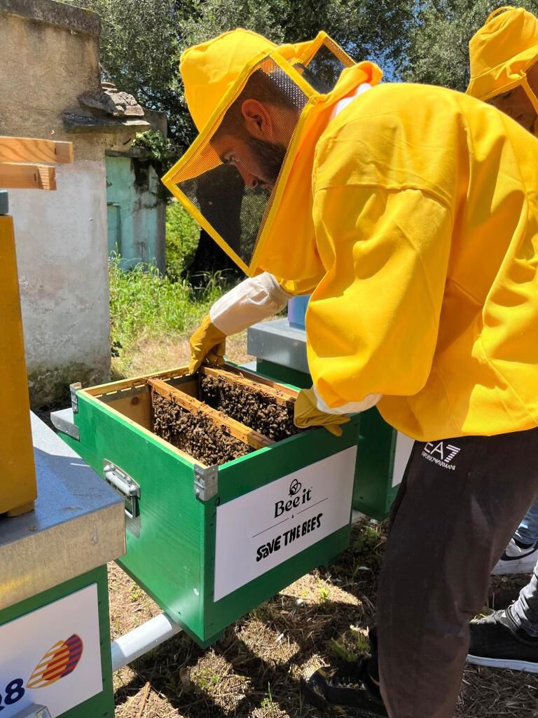 images "Apicoltura e miele di Calabria: valorizzazione integrata e difesa", l'iniziativa a Palmi