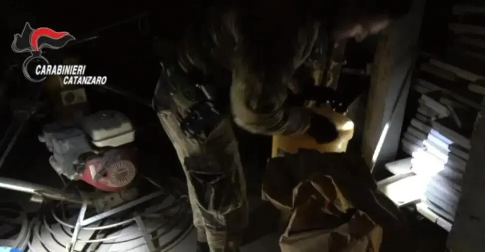 images Operazione Artemis: scarcerato il carabiniere forestale Scicchitano, frantumate le accuse