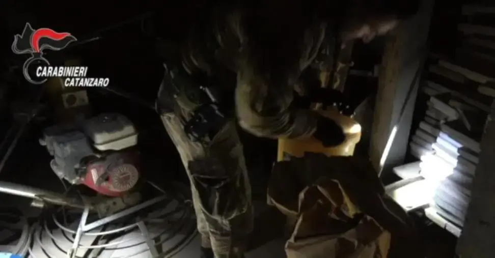 images Operazione Artemis: scarcerato il carabiniere forestale Scicchitano, frantumate le accuse