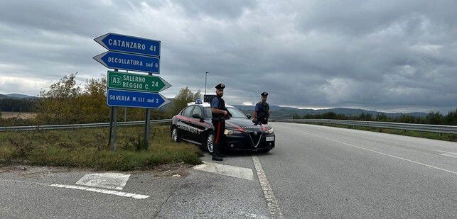 Controlli nel Catanzarese, un giovane nei guai: sequestrata una patente falsa e oltre 60 veicoli controllati images Controlli nel Catanzarese, un giovane nei guai: sequestrata una patente falsa e oltre 60 veicoli controllati