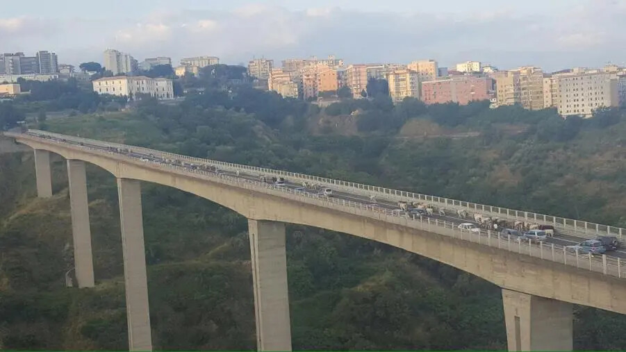 Tentato suicidio dalla tangenziale di Catanzaro: salvato da Carabinieri e Vigili del fuoco images Tentato suicidio dalla tangenziale di Catanzaro: salvato da Carabinieri e Vigili del fuoco
