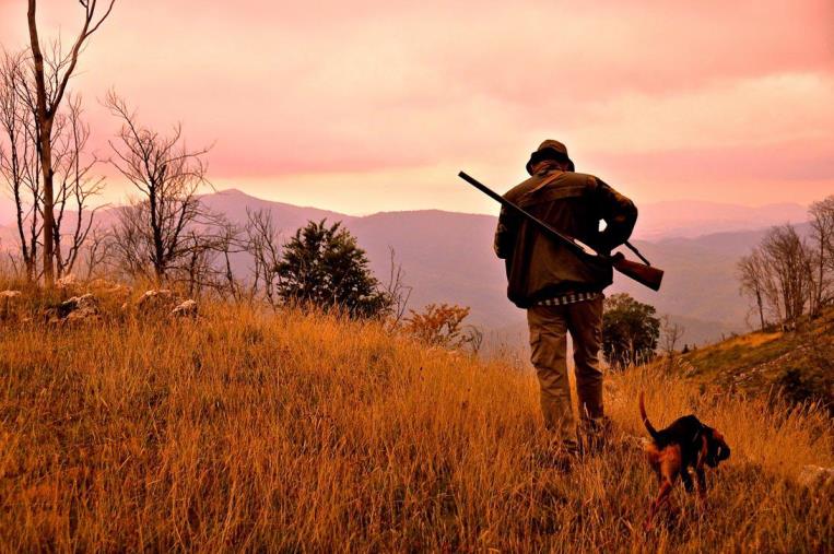 Dinami, ferito durante una battuta di caccia al cinghiale: è grave
images Dinami, ferito durante una battuta di caccia al cinghiale: è grave