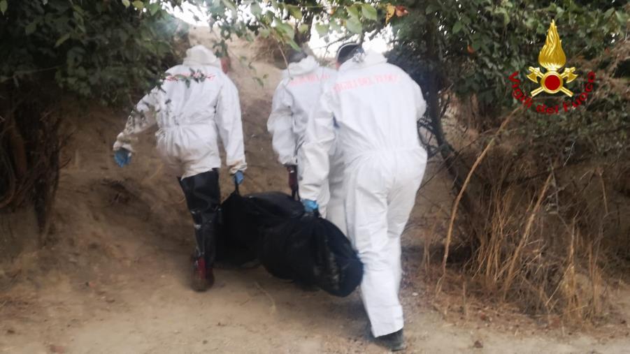 images Colpo del Crotone, acquistato l'attaccante Mustacchio