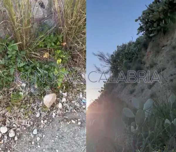 images Quel marciapiedi di Catanzaro Sala pericoloso e dimenticato: cadono pietre dalla collinetta  