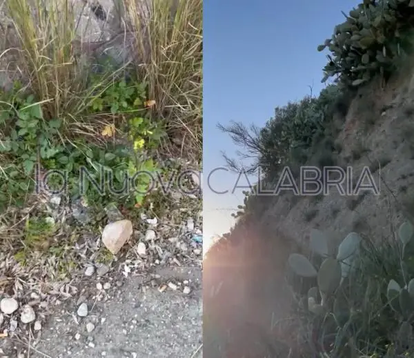 images Quel marciapiedi di Catanzaro Sala pericoloso e dimenticato: cadono pietre dalla collinetta  