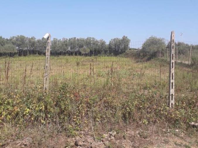 Vibo aderisce al progetto Sibater: si recuperano le terre abbandonate per concederle ai giovani images Vibo aderisce al progetto Sibater: si recuperano le terre abbandonate per concederle ai giovani