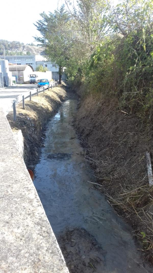 Le imprese femminili calabresi sono 44 mila: un quinto dell'intero settore privato images Le imprese femminili calabresi sono 44 mila: un quinto dell'intero settore privato