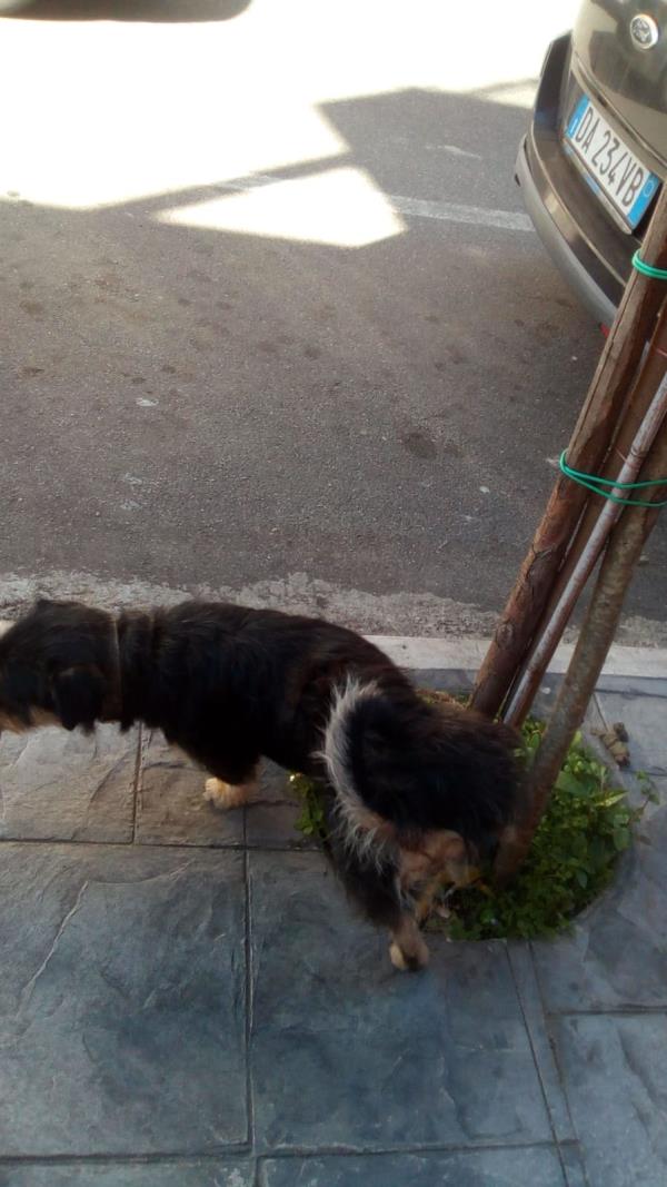 images Da Roma alla Calabria è in atto la crisi del sistema. Intanto Zingaretti pensa a nuovi alleati per le Regionali