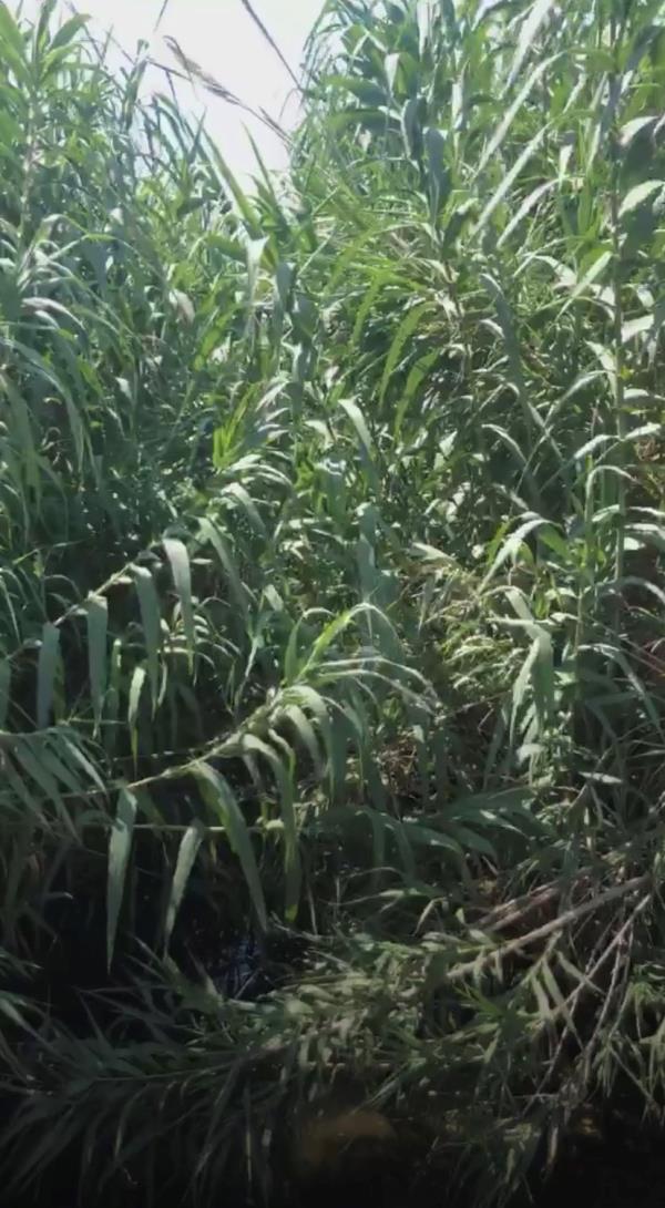 images Carrera Cup Italia, exploit di Iaquinta al Mugello