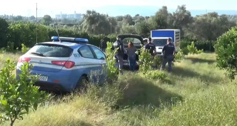 Caporalato, controlli a tappeto e sanzioni nella Piana di Gioia Tauro images Caporalato, controlli a tappeto e sanzioni nella Piana di Gioia Tauro