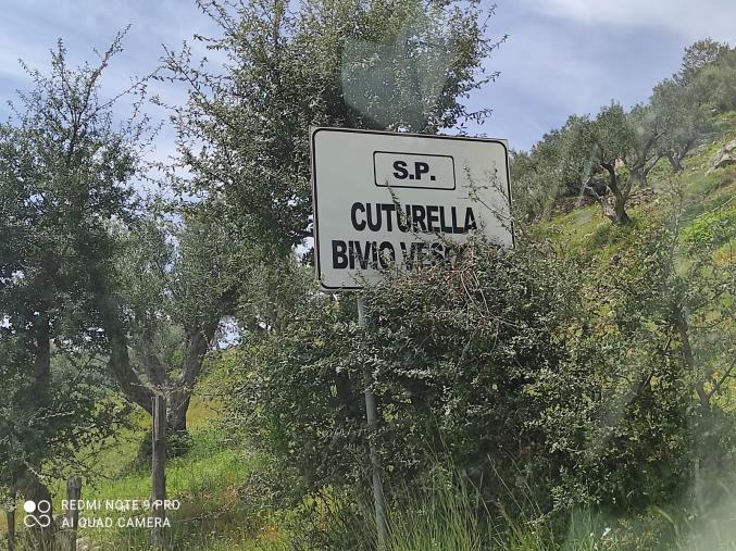 I dubbi dei cittadini sulla strada che collega Cuturella di Cropani ad Andali: "Quel cartellone parla chiaro" images I dubbi dei cittadini sulla strada che collega Cuturella di Cropani ad Andali: "Quel cartellone parla chiaro"
