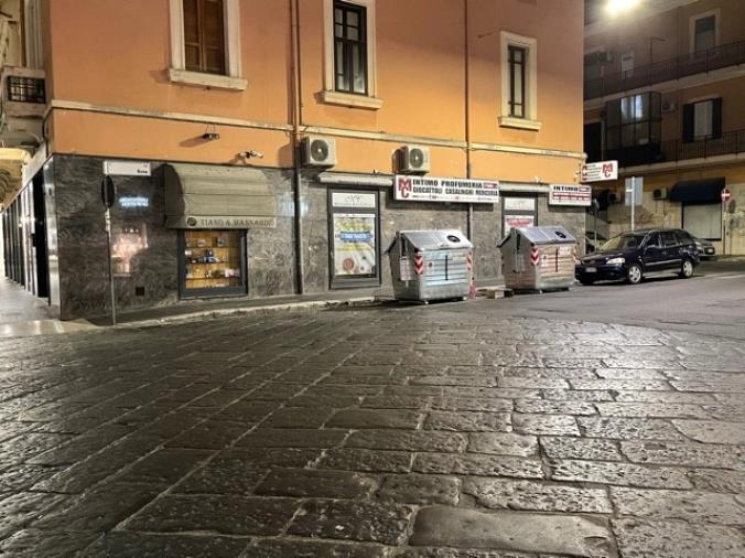 images Crotone. Marisa Luana Cavallo (Popolo e Identità): “Il Comune sostituisca i cassonetti della spazzatura senza la pedana di apertura” 