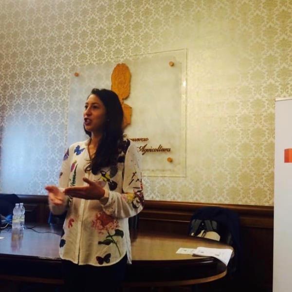 Scontro tra due auto a Lamezia Terme: un ferito images Scontro tra due auto a Lamezia Terme: un ferito