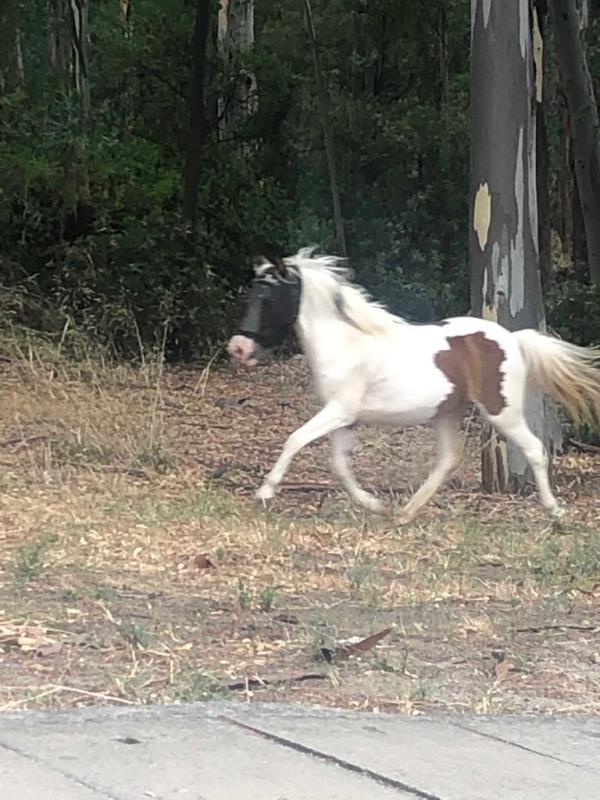images Al Comune sei nuovi dipendenti selezionati dalle categorie protette 