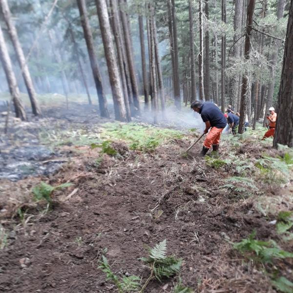 “Calabria Verde”, l’importanza di realizzare fasce parafuoco prima e durante gli incendi images “Calabria Verde”, l’importanza di realizzare fasce parafuoco prima e durante gli incendi