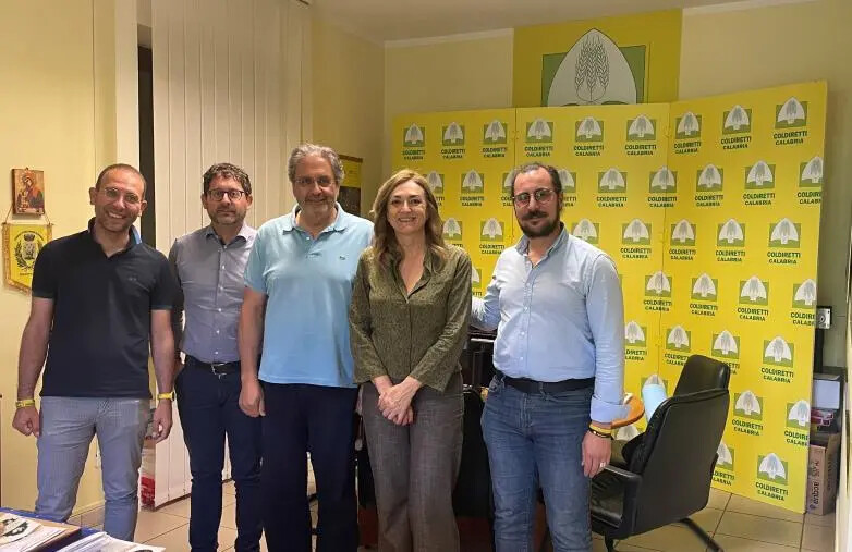 images Turismo delle radici e promozione delle aree rurali: sinergia fra Unical e Coldiretti Calabria