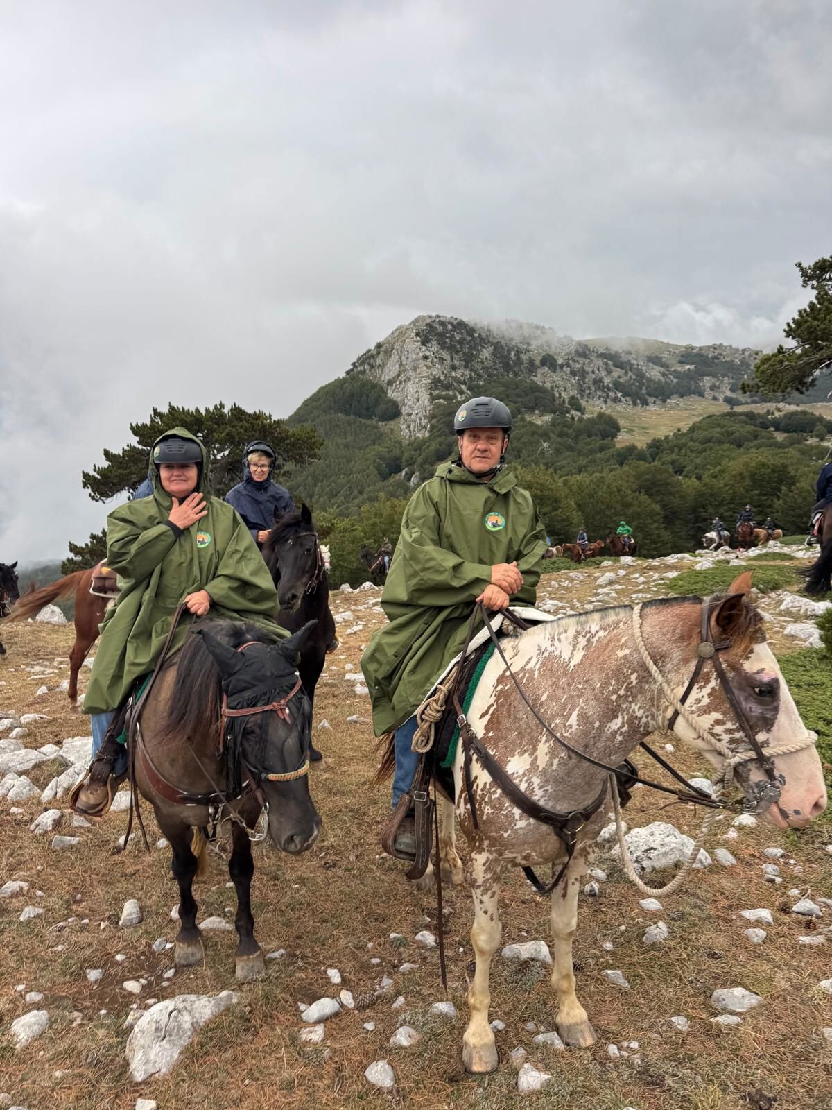 Grande successo nazionale per “Natura a Cavallo” nel Parco Nazionale del Pollino: tanti cavalieri da alla scoperta del Giardino degli Dei
images Grande successo nazionale per “Natura a Cavallo” nel Parco Nazionale del Pollino: tanti cavalieri da alla scoperta del Giardino degli Dei