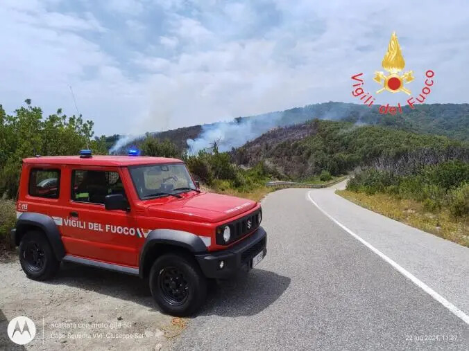 A fuoco i boschi tra Badolato e Petrizzi: in azione anche diversi canadair images A fuoco i boschi tra Badolato e Petrizzi: in azione anche diversi canadair