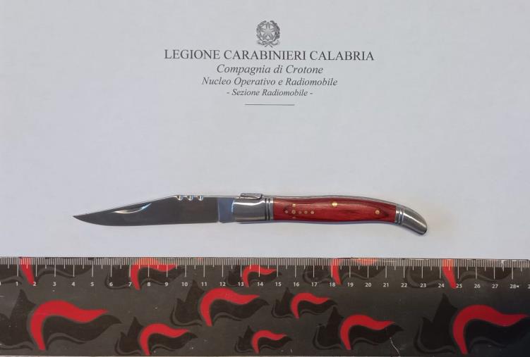 Crotone, sequestrate armi e droga: 4 denunce
images Crotone, sequestrate armi e droga: 4 denunce