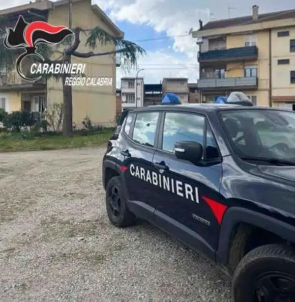 Sequestrati e distrutti nel Reggino prodotti ittici senza tracciabilità images Sequestrati e distrutti nel Reggino prodotti ittici senza tracciabilità