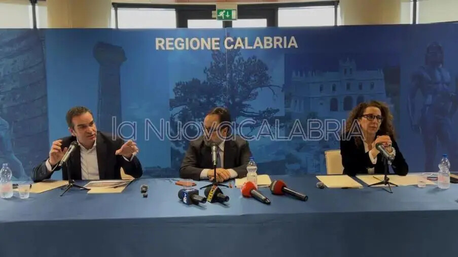 Nuovi ospedali in Calabria, presentato il modello contro le infiltrazioni criminali negli appalti images Nuovi ospedali in Calabria, presentato il modello contro le infiltrazioni criminali negli appalti