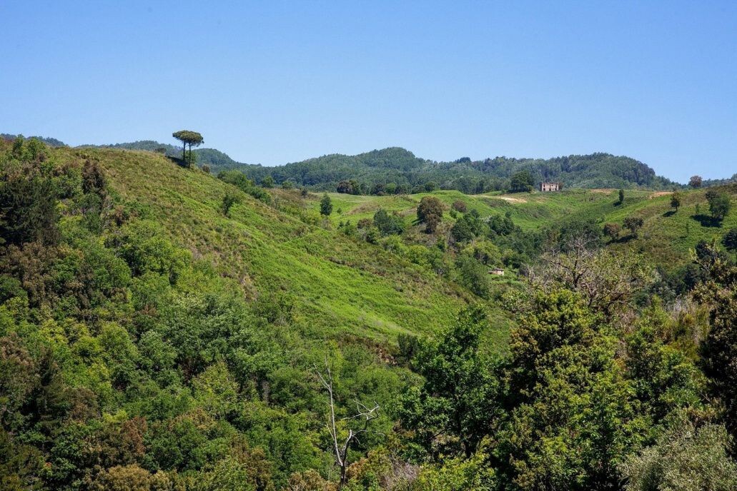 images I Luoghi del Cuore FAI sosterrà la valorizzazione del Percorso dei mulini ad Amato