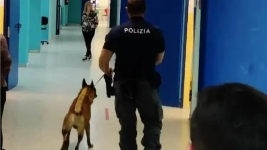 images Nelle scuole di Crotone controlli antidroga a tappeto