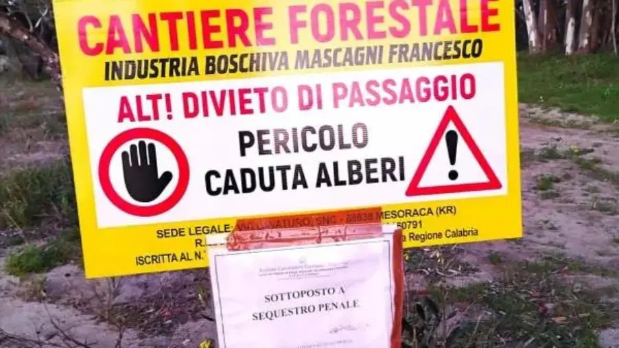 images Pineta di Squillace Lido, Belfiore: “Abuso intollerabile contro il territorio e il bene comune”
