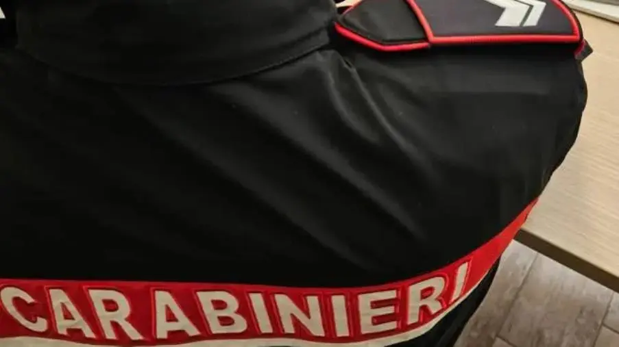 Zagarise, scoperto arsenale illegale: arrestato 63enne con pistola clandestina e rifiuti pericolosi images Zagarise, scoperto arsenale illegale: arrestato 63enne con pistola clandestina e rifiuti pericolosi