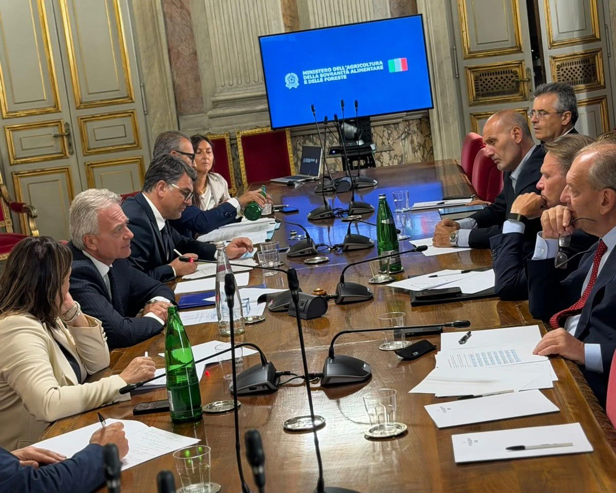 Olio, le Regioni del Mezzogiorno al Masaf: confronto su liquidità, giacenze e mercato