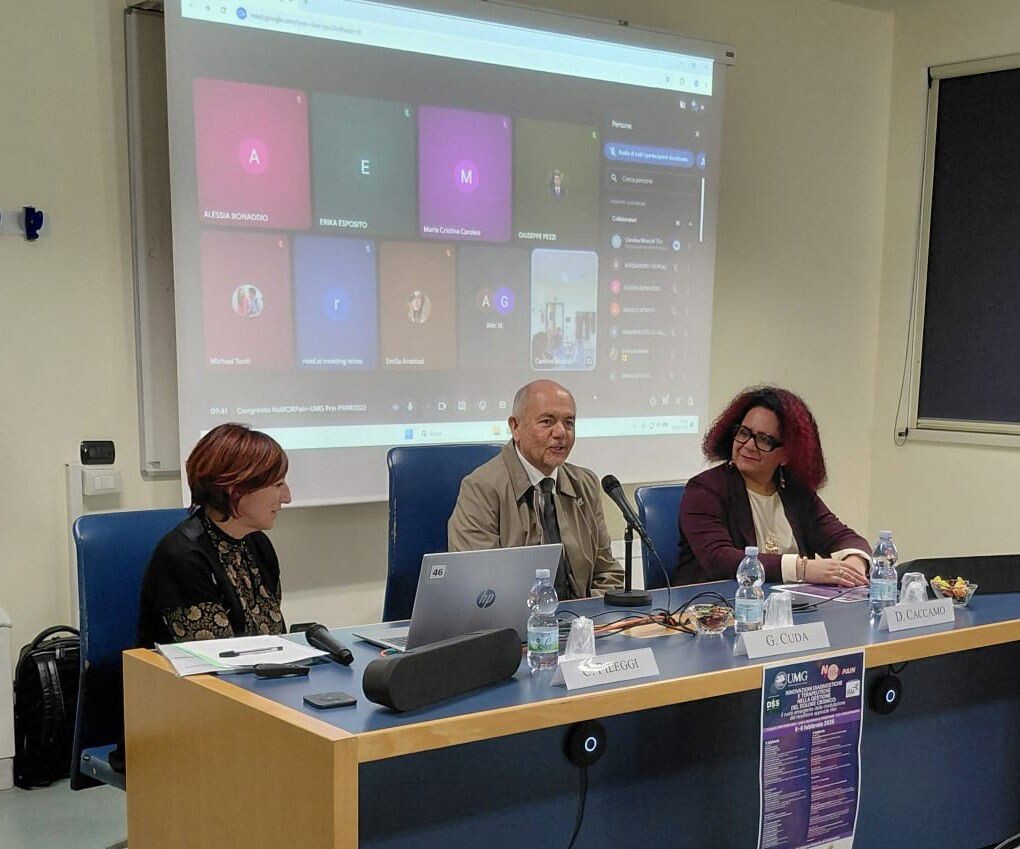 images Dolore cronico, l'Umg di Catanzaro ridisegna il futuro della terapia personalizzata per il trattamento della fibromialgia
