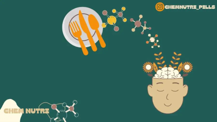 images Nuova Pagina di Divulgazione Scientifica "ChemNutri - Pills": L'Approccio Nuovo alla Conoscenza Scientifica degli Alimenti