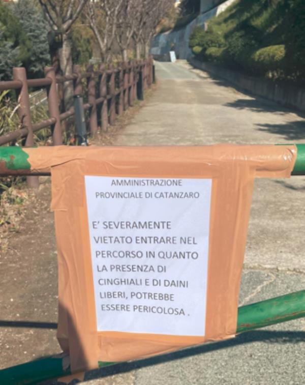 images Catanzaro, cinghiali e daini liberi: chiuso il percorso di jogging al Parco della biodiversità